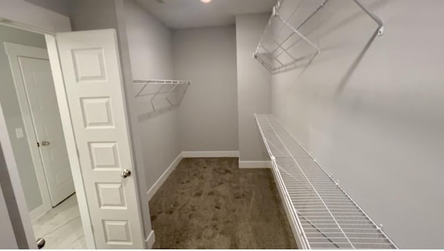 walk in closet with carpet flooring
