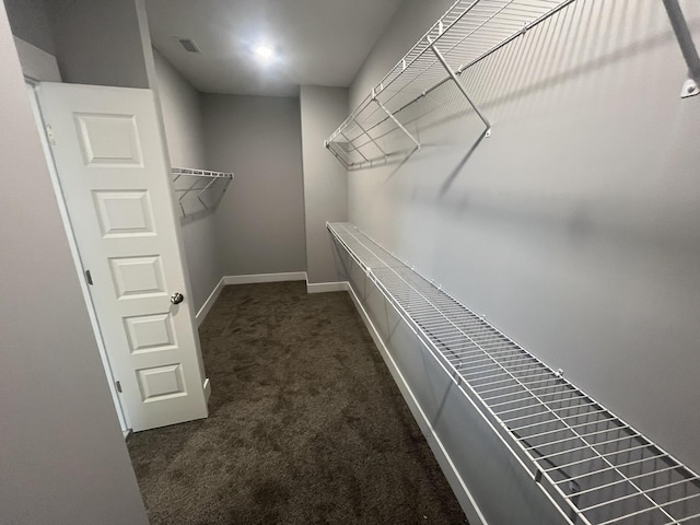walk in closet featuring visible vents and carpet
