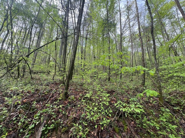 112 Bear Den Trl, Grandview, TN 37337 - photo 2