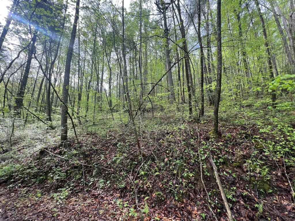 112 Bear Den Trl, Grandview, TN 37337 - photo 1