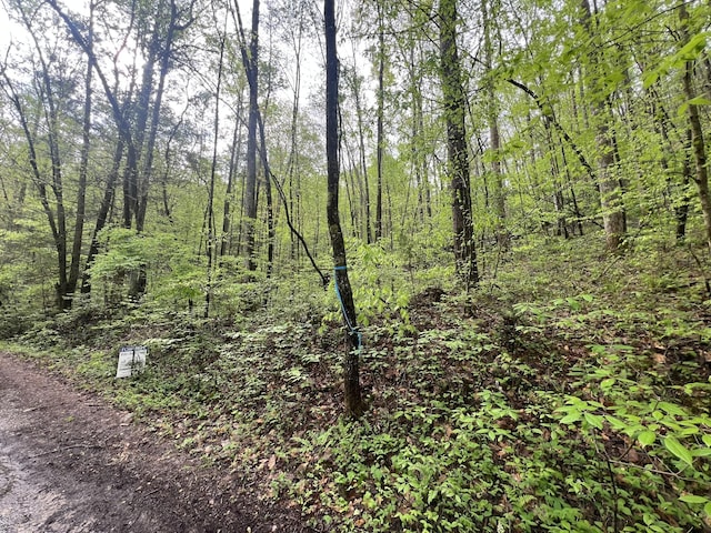 113 Bear Den Trl, Grandview, TN 37337 - photo 2