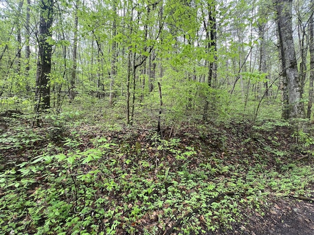 113 Bear Den Trl, Grandview, TN 37337 - photo 4