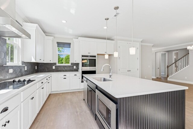 7205 Lake Rd, Fairview, TN 37062 - kitchen featuring a sink, stainless steel appliances, wall chimney exhaust hood, light wood-style floors, and tasteful backsplash
