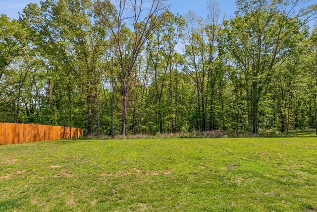 7205 Lake Rd, Fairview, TN 37062 - view of yard