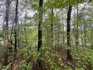 153 Bear Den Trl, Grandview, TN 37337 - photo 4