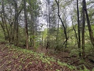 153 Bear Den Trl, Grandview, TN 37337 - photo 1