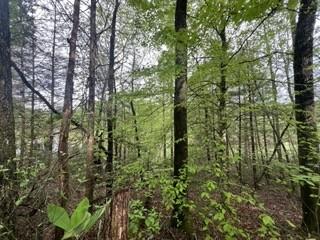 153 Bear Den Trl, Grandview, TN 37337 - photo 3