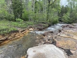 139 Bear Den Trl, Grandview, TN 37337 - photo 6