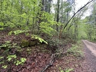139 Bear Den Trl, Grandview, TN 37337 - photo 2