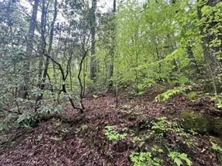 139 Bear Den Trl, Grandview, TN 37337 - photo 1