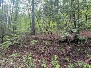 139 Bear Den Trl, Grandview, TN 37337 - photo 3