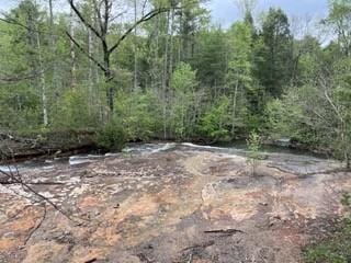 139 Bear Den Trl, Grandview, TN 37337 - photo 5
