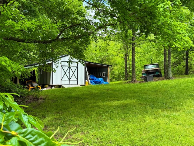 view of yard featuring an outdoor structure and a shed
