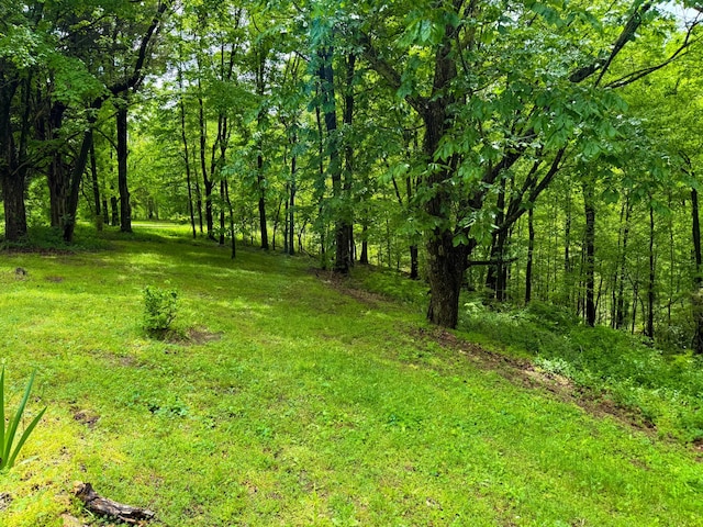 view of local wilderness featuring a forest view