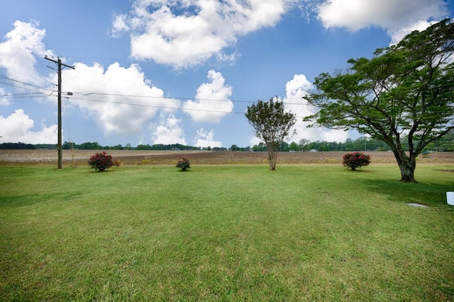 401 Longview St, Athens, AL 35611 - view of yard with a rural view
