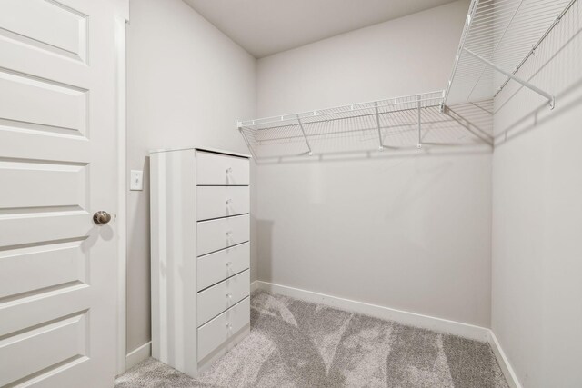 1010 Baltusrol Ln, Lebanon, TN 37087 - walk in closet featuring light colored carpet