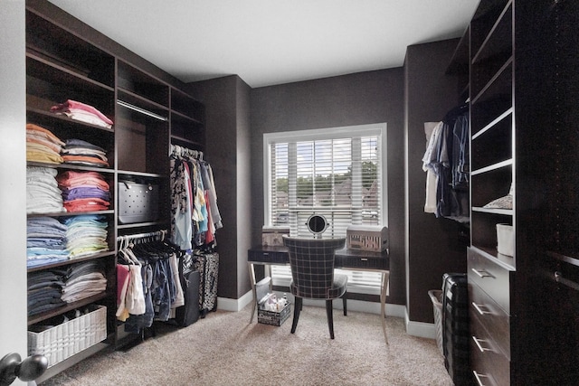 spacious closet featuring carpet