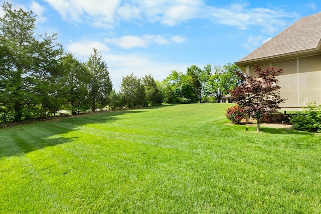 view of grassy yard