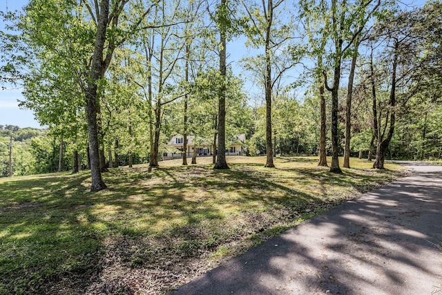 1780 Warren Hollow Rd, Nolensville, TN 37135 - view of grassy yard with a view of trees
