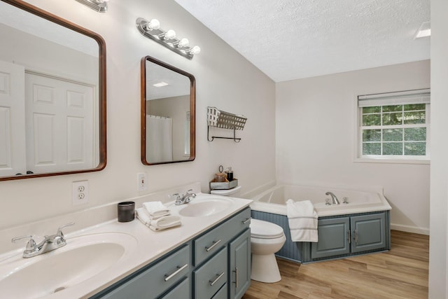 1780 Warren Hollow Rd, Nolensville, TN 37135 - full bath with toilet, double vanity, wood finished floors, a textured ceiling, and a garden tub