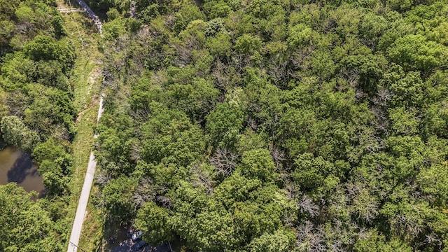 1780 Warren Hollow Rd, Nolensville, TN 37135 - aerial view of a nearby body of water