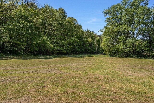 1780 Warren Hollow Rd, Nolensville, TN 37135 - view of green lawn with a view of trees