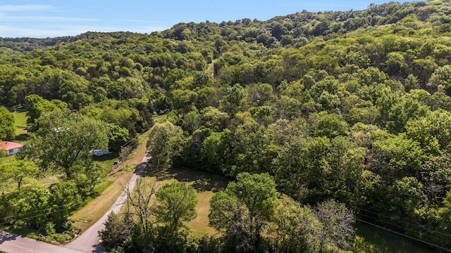 1780 Warren Hollow Rd, Nolensville, TN 37135 - bird's eye view of a forest