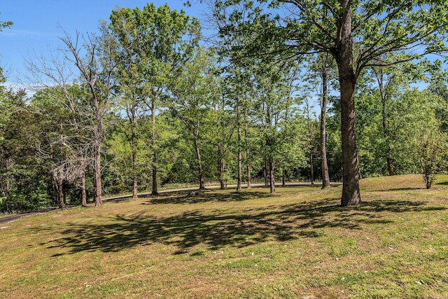 1780 Warren Hollow Rd, Nolensville, TN 37135 - view of green lawn