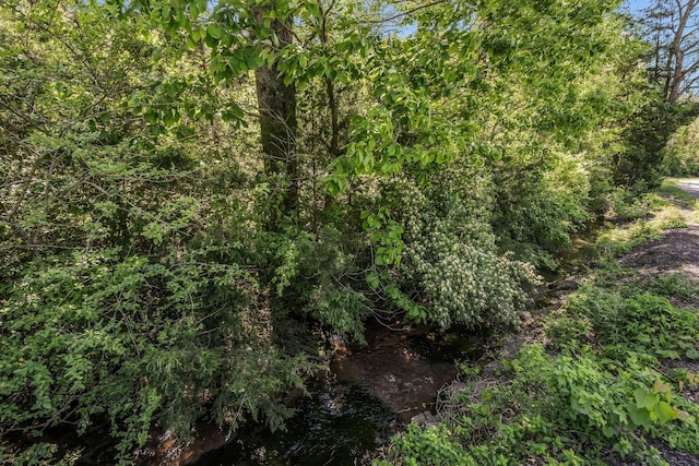 1780 Warren Hollow Rd, Nolensville, TN 37135 - view of undeveloped land