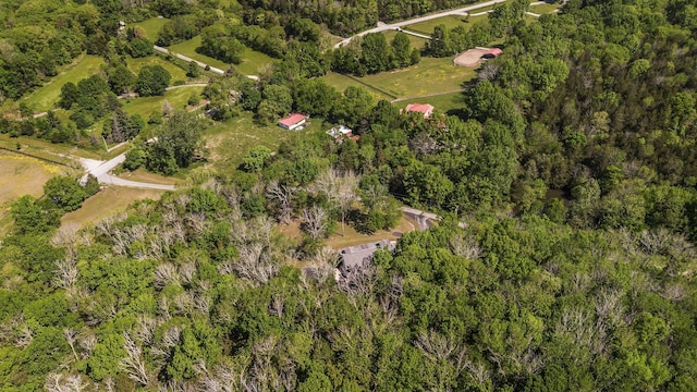1780 Warren Hollow Rd, Nolensville, TN 37135 - aerial view of property's location with a forest