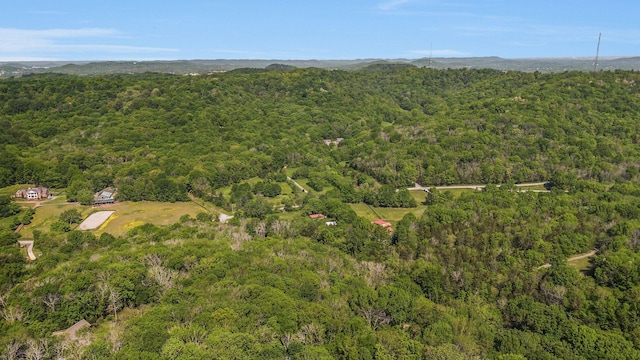 1780 Warren Hollow Rd, Nolensville, TN 37135 - view of property location with a heavily wooded area