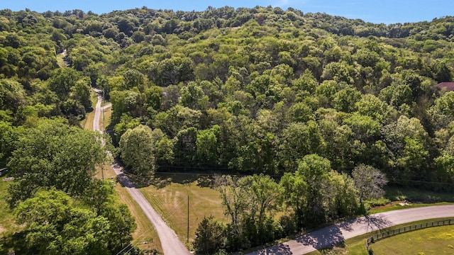1780 Warren Hollow Rd, Nolensville, TN 37135 - aerial view of a forest