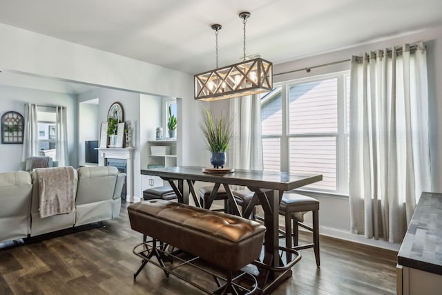 4015 John Marsh Rd, Spring Hill, TN 37174 - dining area featuring baseboards, dark wood-style floors, a fireplace, and a healthy amount of sunlight