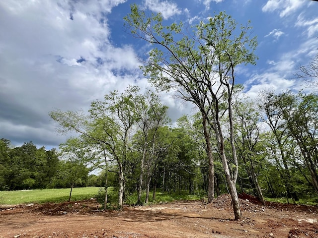 view of local wilderness featuring a forest view