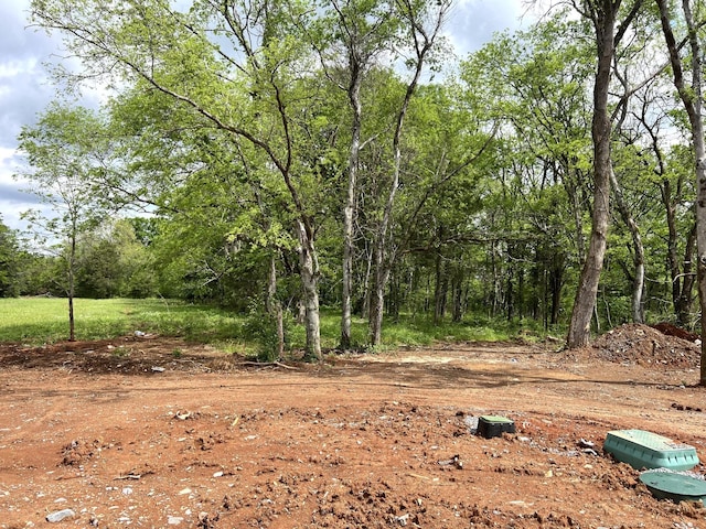 view of local wilderness featuring a wooded view