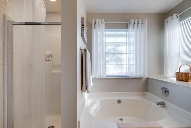 2510 Port Kembla Dr, Mount Juliet, TN 37122 - full bath with plenty of natural light, a bath, and a shower stall