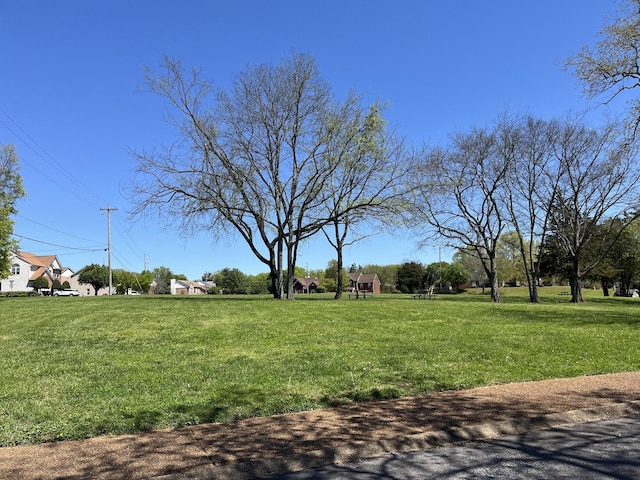 2510 Port Kembla Dr, Mount Juliet, TN 37122 - view of yard