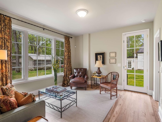305 Davidson Rd, Nashville, TN 37205 - living room featuring baseboards, a healthy amount of sunlight, and light wood-style flooring