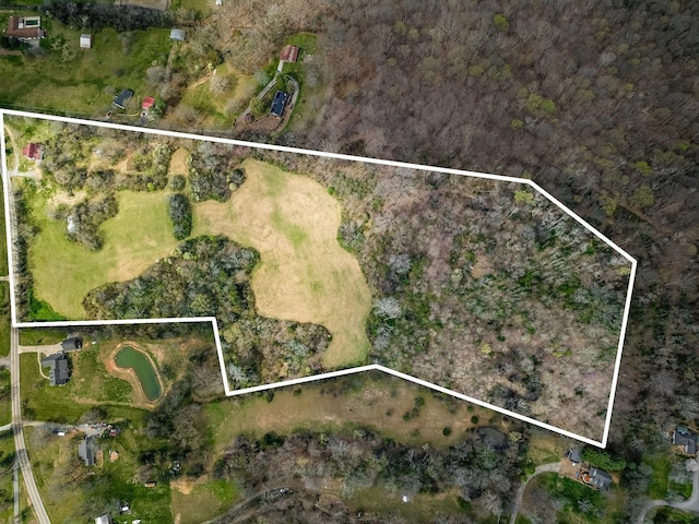 5506 Lickton Pike, Goodlettsville, TN 37072 - birds eye view of property