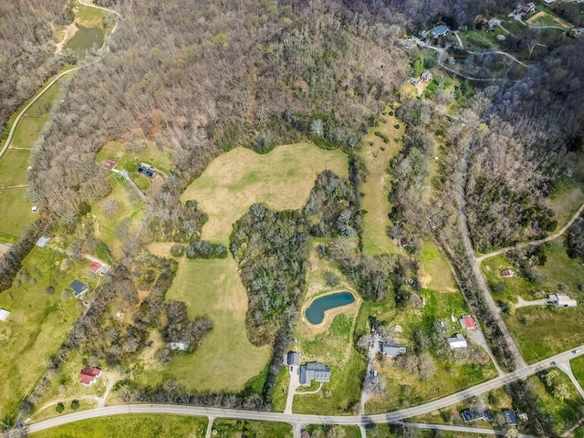 5506 Lickton Pike, Goodlettsville, TN 37072 - birds eye view of property