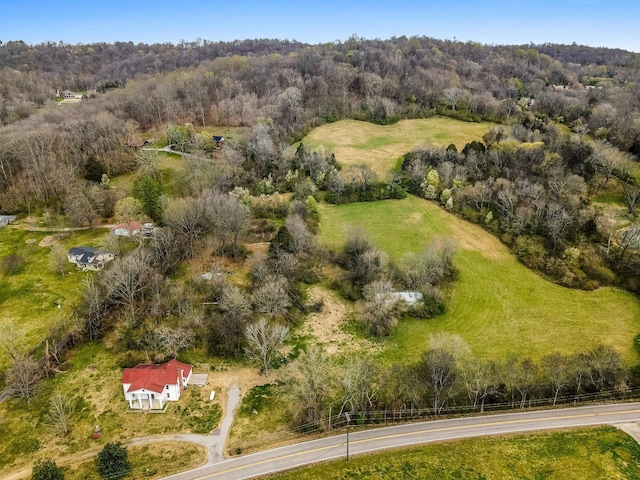 5506 Lickton Pike, Goodlettsville, TN 37072 - birds eye view of property with a view of trees