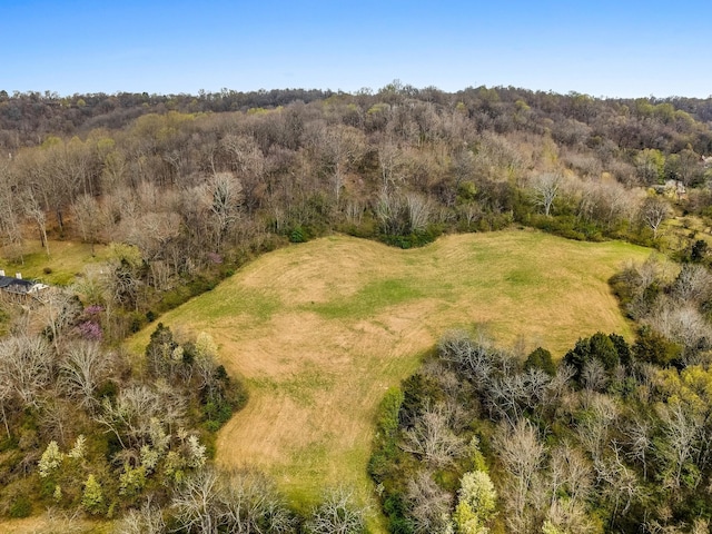 5506 Lickton Pike, Goodlettsville, TN 37072 - birds eye view of property featuring a wooded view