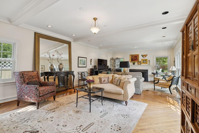 living area with plenty of natural light, light wood-style floors, and crown molding