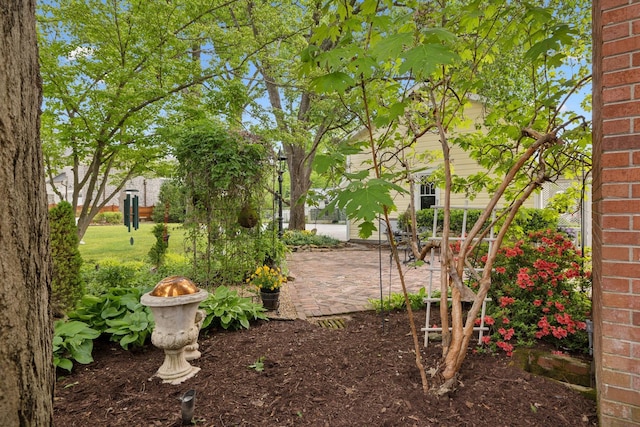 view of yard with a patio area