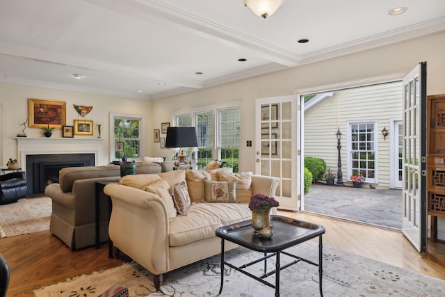 living area with crown molding, beam ceiling, wood finished floors, and a fireplace