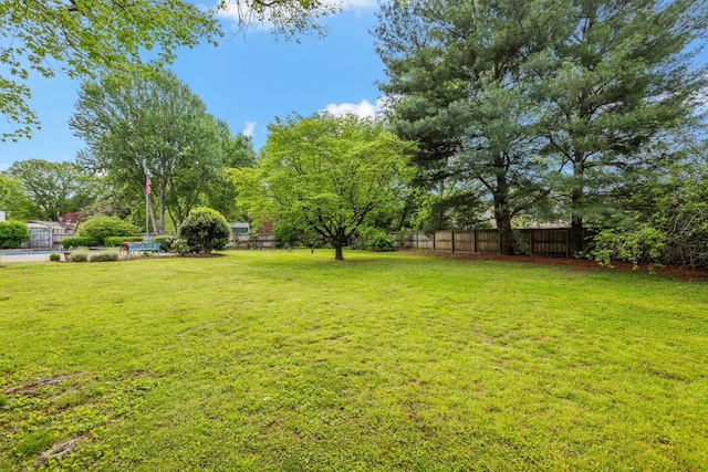 view of yard with a fenced backyard