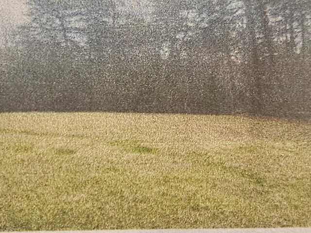 1234 High Meadows Dr, Spencer, TN 38585