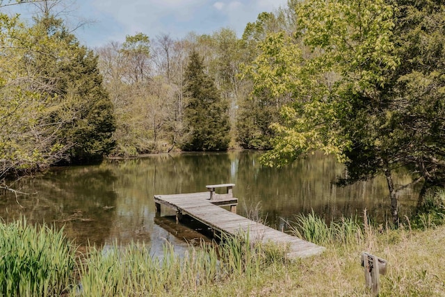 dock area featuring a water view and a view of trees