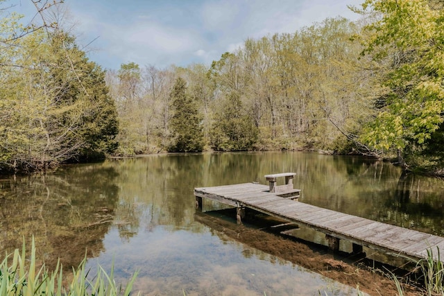 dock area featuring a water view and a wooded view