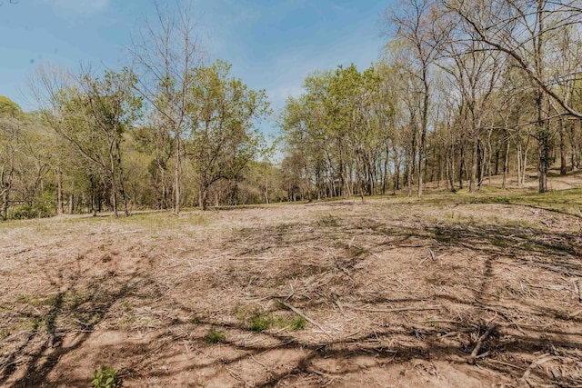 view of local wilderness featuring a forest view